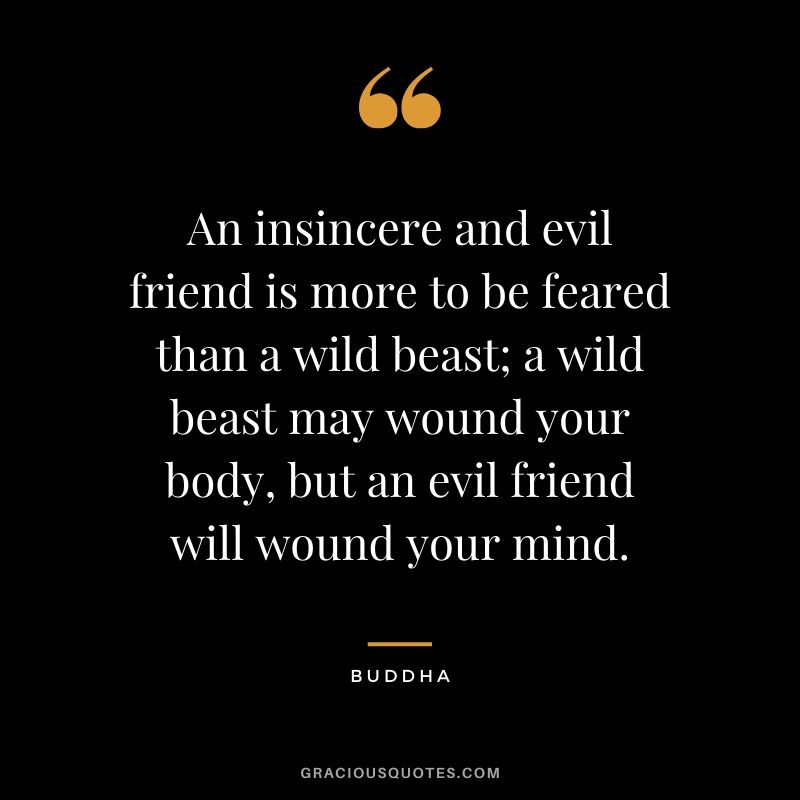 An insincere and evil friend is more to be feared than a wild beast; a wild beast may wound your body, but an evil friend will wound your mind.