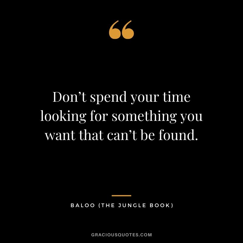 Don’t spend your time looking for something you want that can’t be found. - Baloo (The Jungle Book)
