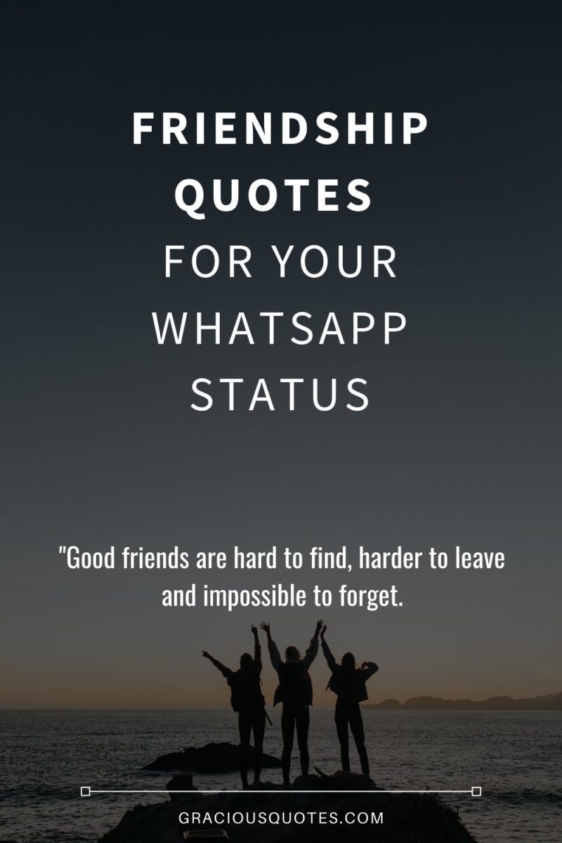 Friendship-Quotes-for-Your-WhatsApp-Status-Gracious-Quotes