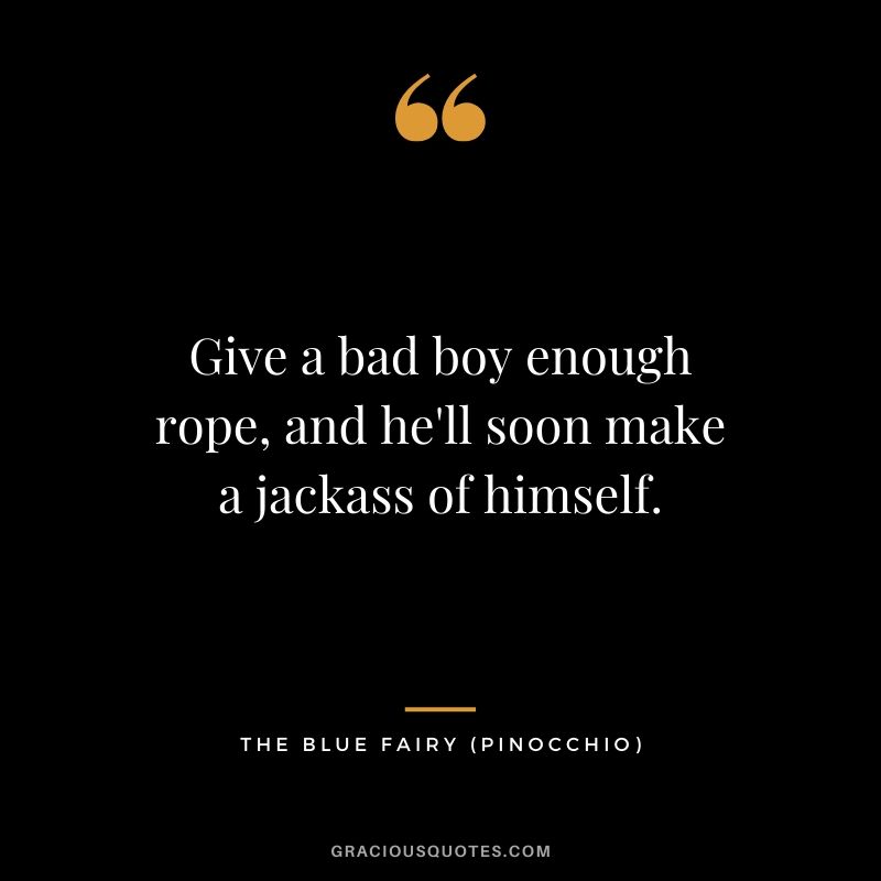 Give a bad boy enough rope, and he'll soon make a jackass of himself. - The Blue Fairy (Pinocchio)