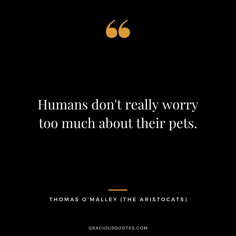 Humans don't really worry too much about their pets. - Thomas O'Malley (The Aristocats)