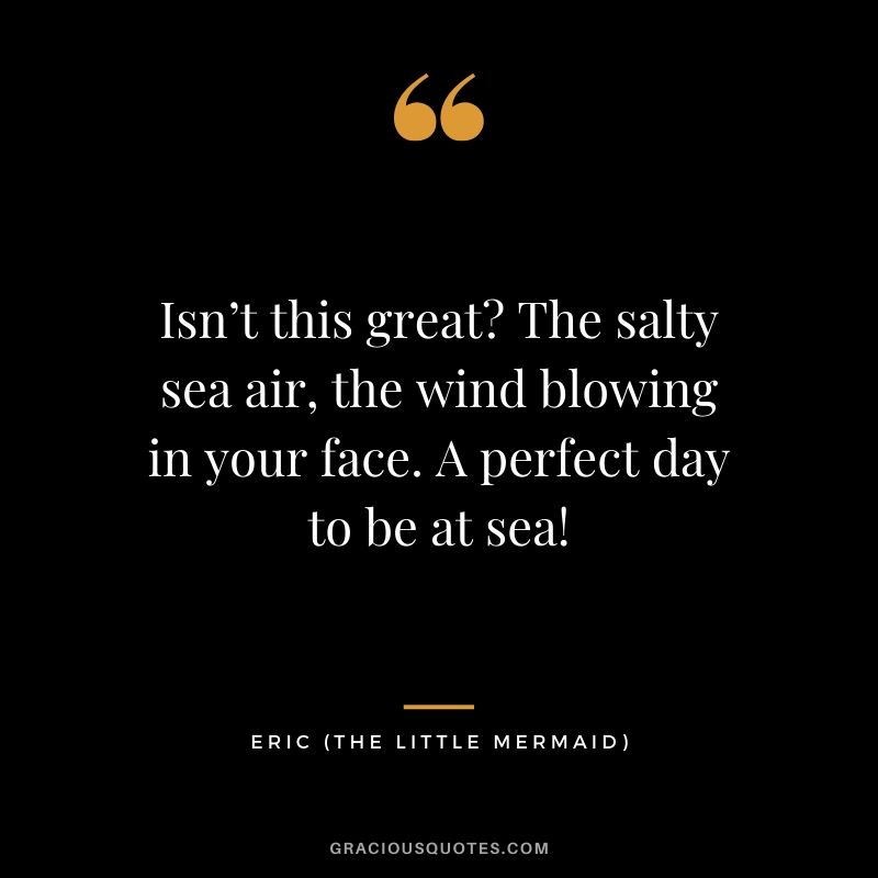 Isn’t this great? The salty sea air, the wind blowing in your face. A perfect day to be at sea! - Eric (The Little Mermaid)