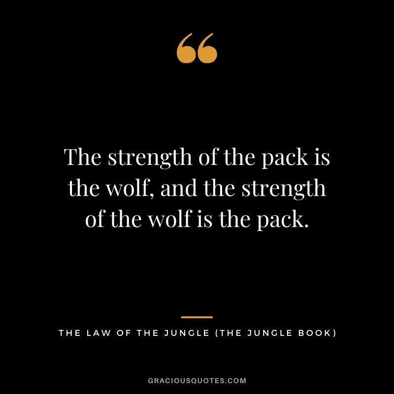 The strength of the pack is the wolf, and the strength of the wolf is the pack. - The Law of the Jungle (The Jungle Book)