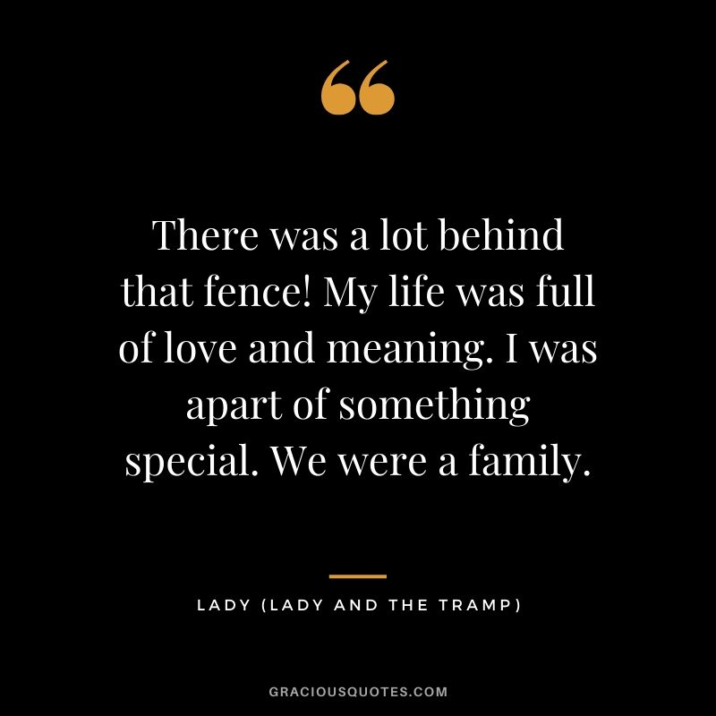 There was a lot behind that fence! My life was full of love and meaning. I was apart of something special. We were a family. - Lady (Lady and the Tramp)