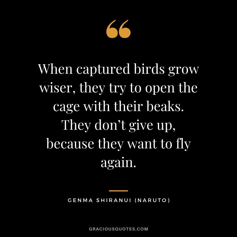 When captured birds grow wiser, they try to open the cage with their beaks. They don’t give up, because they want to fly again. - Genma Shiranui (Naruto)