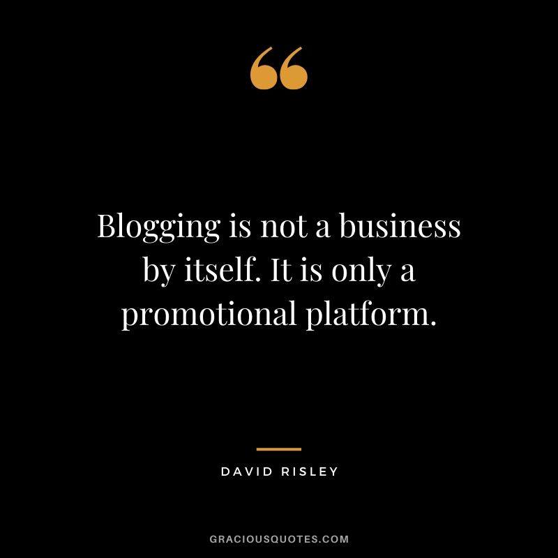 Blogging is not a business by itself. It is only a promotional platform. - David Risley