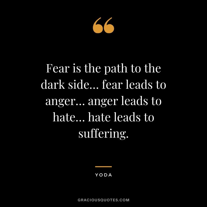 Fear leads to anger, anger leads to hate, hate leads to suffering.