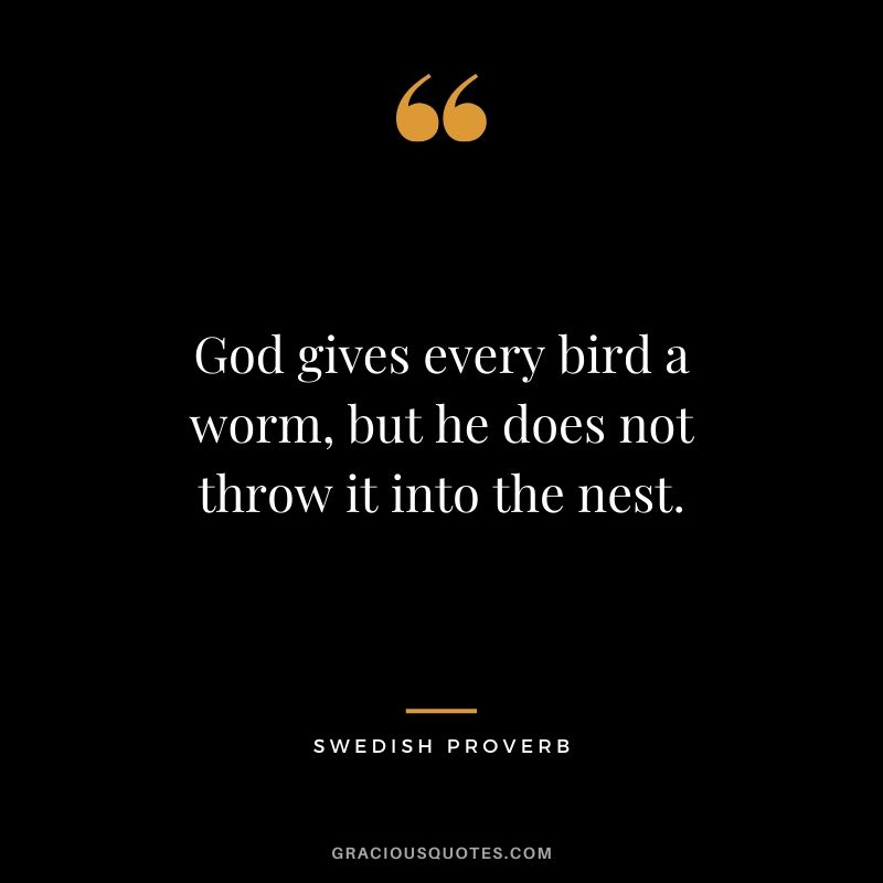 God gives every bird a worm, but he does not throw it into the nest. - Swedish Proverb