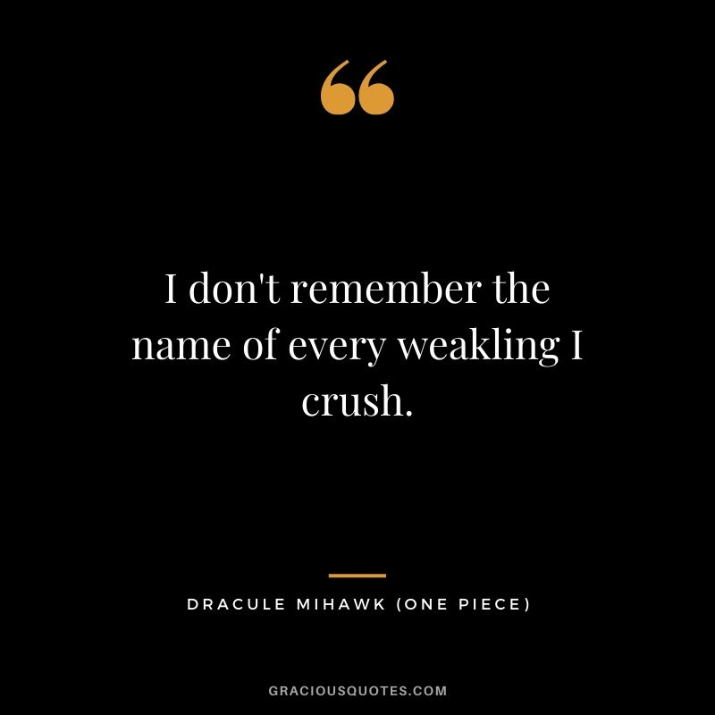 I don't remember the name of every weakling I crush. - Dracule Mihawk