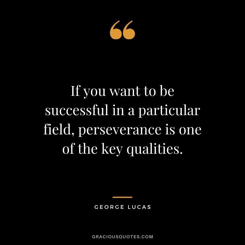 If you want to be successful in a particular field, perseverance is one of the key qualities. - George Lucas