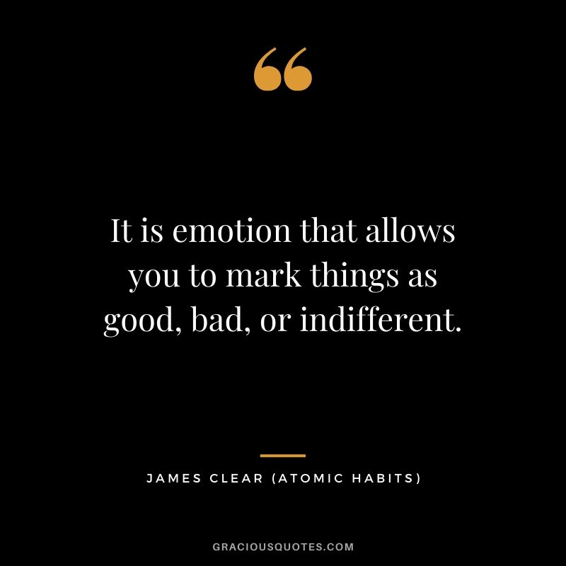 It is emotion that allows you to mark things as good, bad, or indifferent.