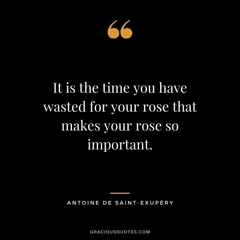 It is the time you have wasted for your rose that makes your rose so important. - Antoine de Saint-Exupéry