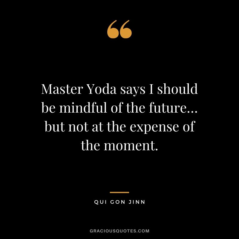 Master Yoda says I should be mindful of the future… but not at the expense of the moment. - Qui Gon Jinn
