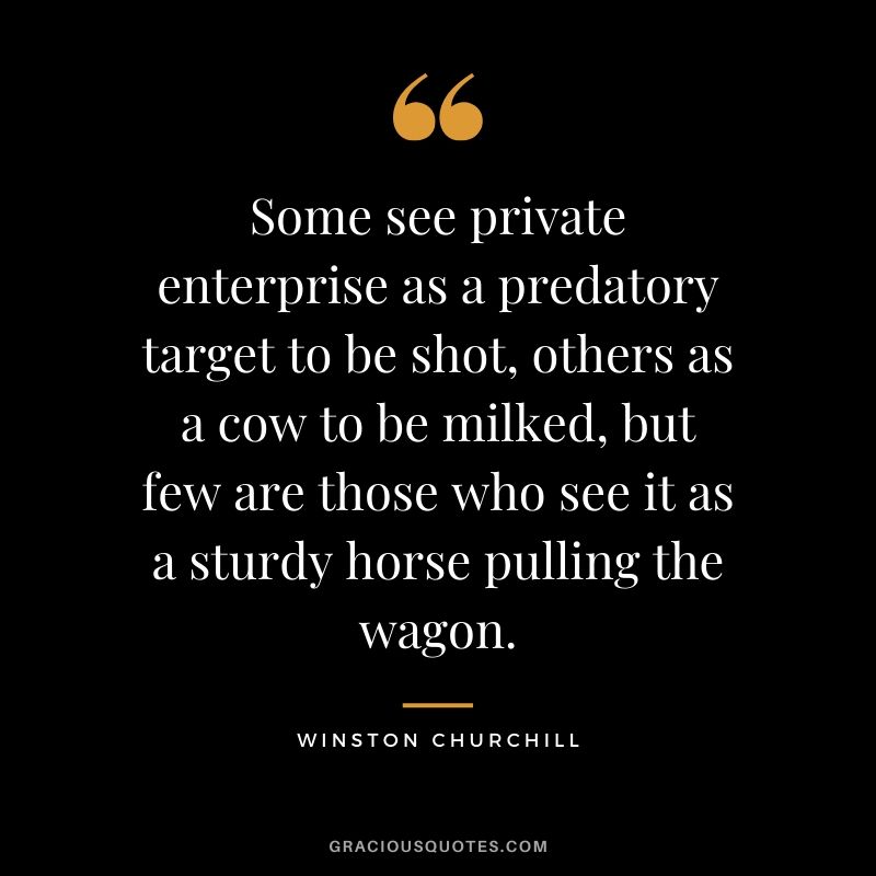 Some see private enterprise as a predatory target to be shot, others as a cow to be milked, but few are those who see it as a sturdy horse pulling the wagon.