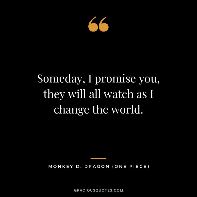Someday, I promise you, they will all watch as I change the world. - Monkey D. Dragon
