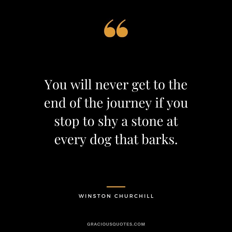 You will never get to the end of the journey if you stop to shy a stone at every dog that barks.