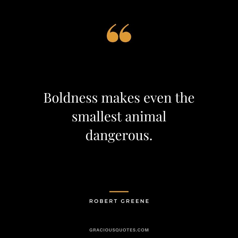 Boldness makes even the smallest animal dangerous.