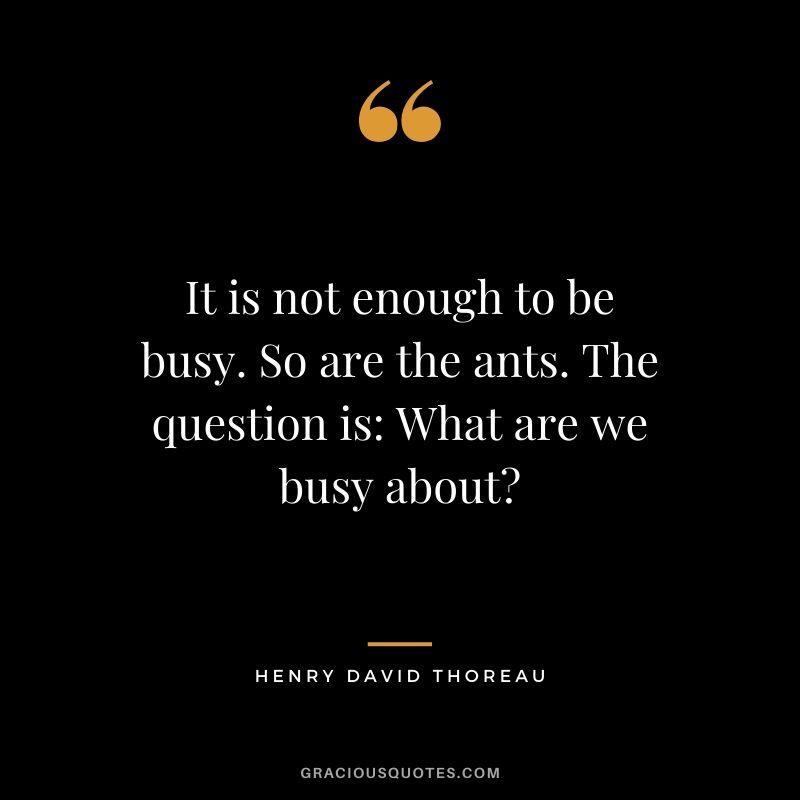 It is not enough to be busy. So are the ants. The question is - What are we busy about? - Henry David Thoreau
