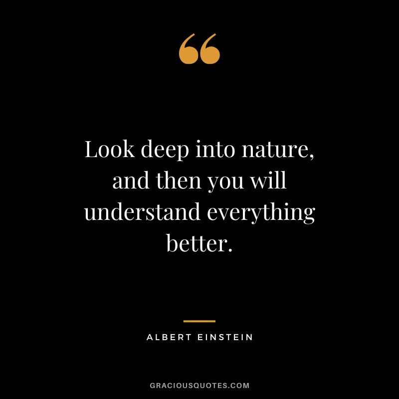 Look deep into nature, and then you will understand everything better.