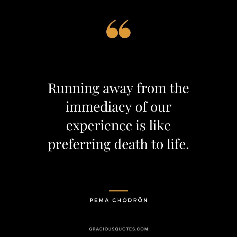Running away from the immediacy of our experience is like preferring death to life. - Pema Chödrön