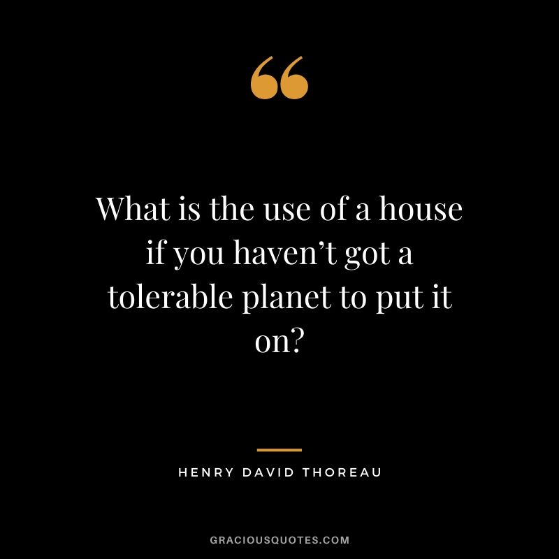 What is the use of a house if you haven’t got a tolerable planet to put it on?