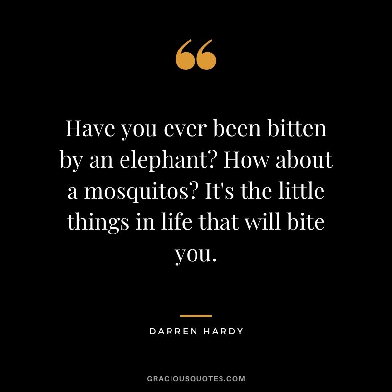 Have you ever been bitten by an elephant? How about a mosquitos? It's the little things in life that will bite you.