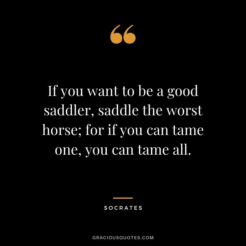 If you want to be a good saddler, saddle the worst horse; for if you can tame one, you can tame all.