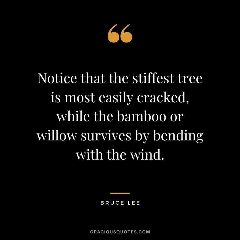 Notice that the stiffest tree is most easily cracked, while the bamboo or willow survives by bending with the wind.