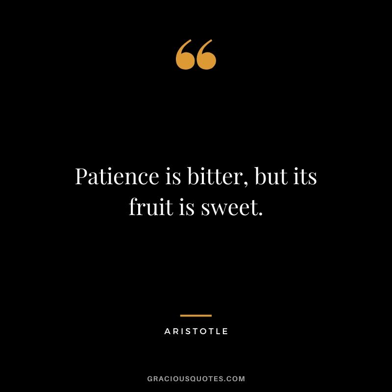 Patience is bitter, but its fruit is sweet. - Aristotle