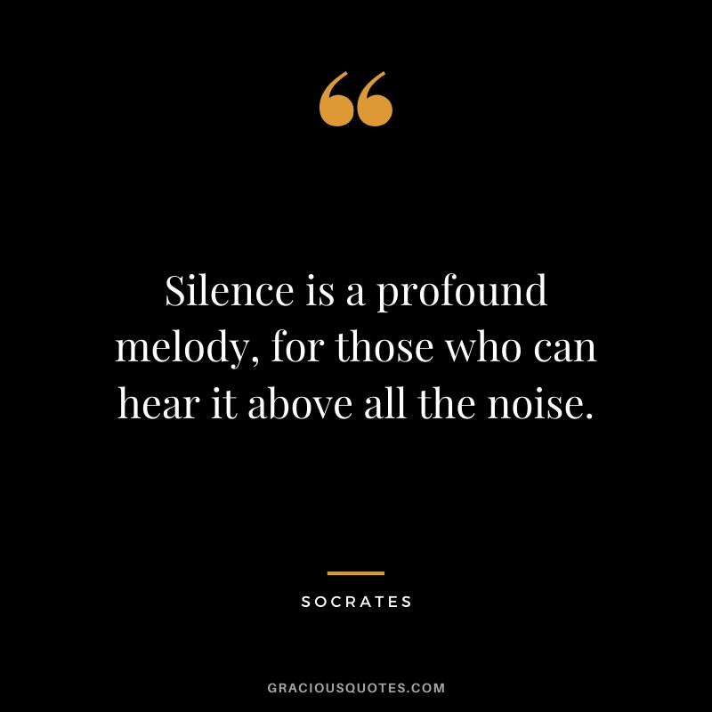 Silence is a profound melody, for those who can hear it above all the noise.