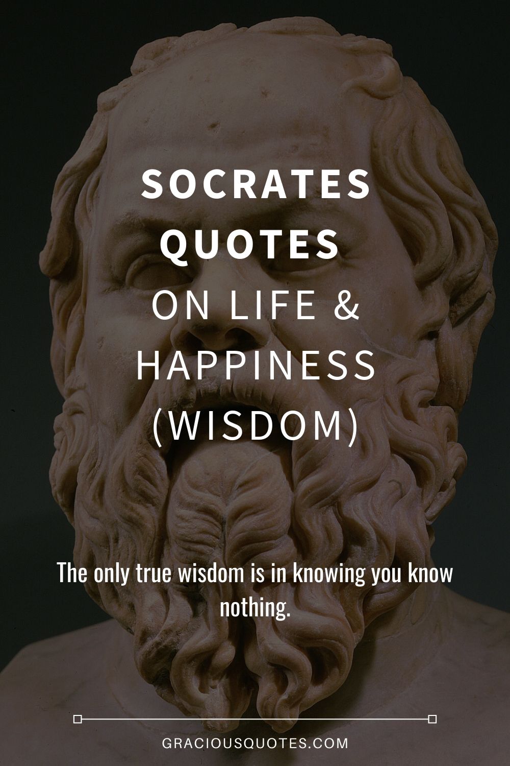 Socrates Quotes on Life & Happiness (WISDOM) - Gracious Quotes