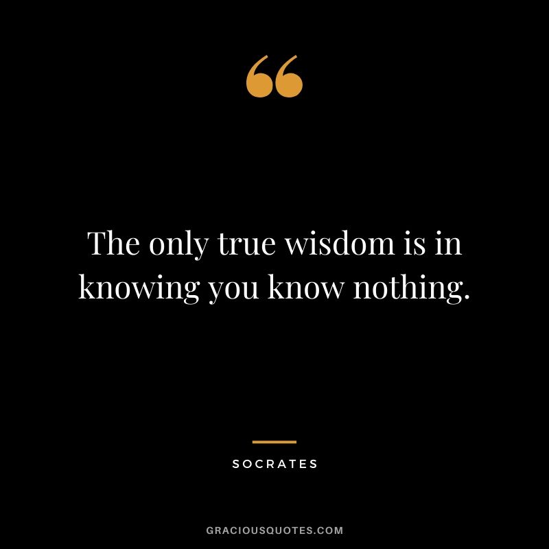 The only true wisdom is in knowing you know nothing. - Socrates