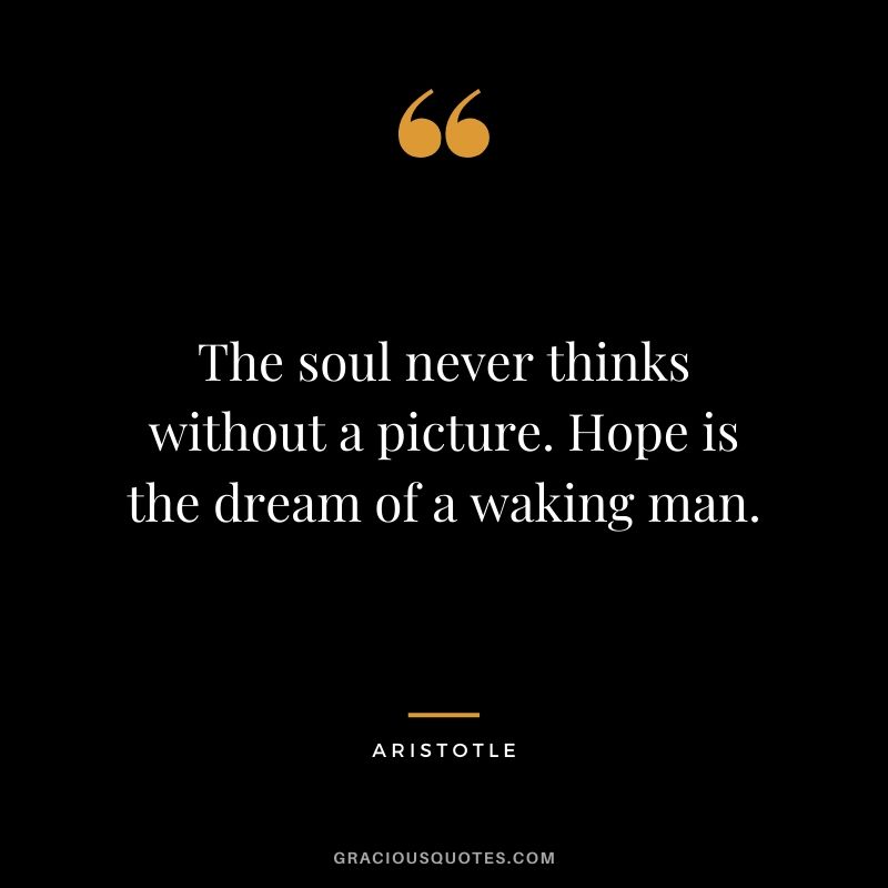 The soul never thinks without a picture. Hope is the dream of a waking man.