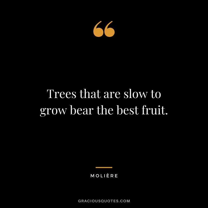 Trees that are slow to grow bear the best fruit. - Molière