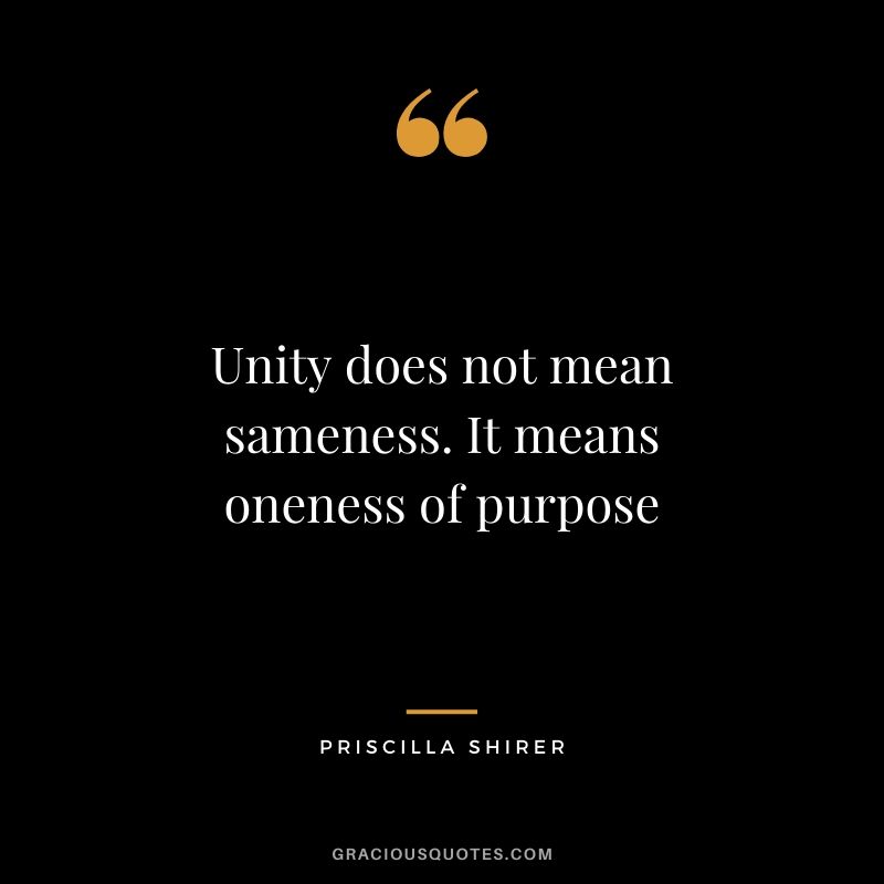 Unity does not mean sameness. It means oneness of purpose - Priscilla Shirer