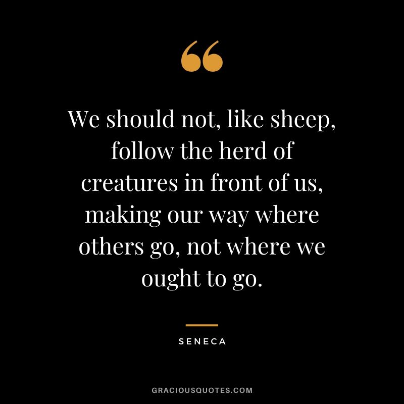 We should not, like sheep, follow the herd of creatures in front of us, making our way where others go, not where we ought to go.