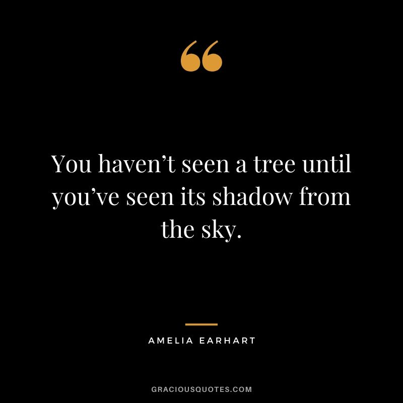 You haven’t seen a tree until you’ve seen its shadow from the sky.