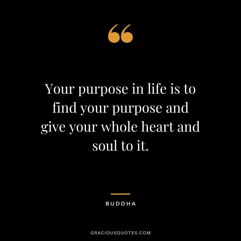 Your purpose in life is to find your purpose and give your whole heart and soul to it. - Buddha