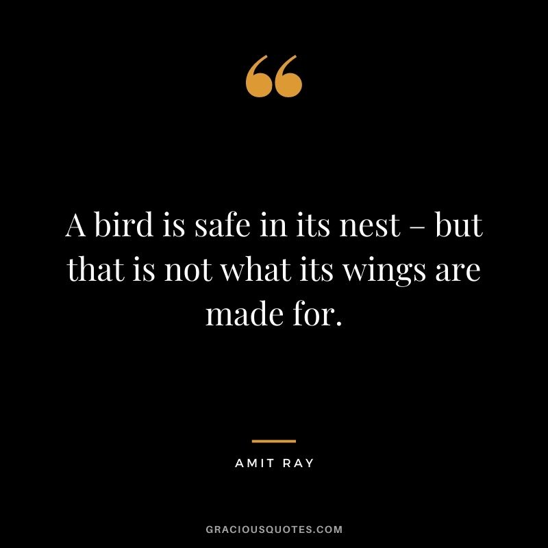 A bird is safe in its nest – but that is not what its wings are made for.