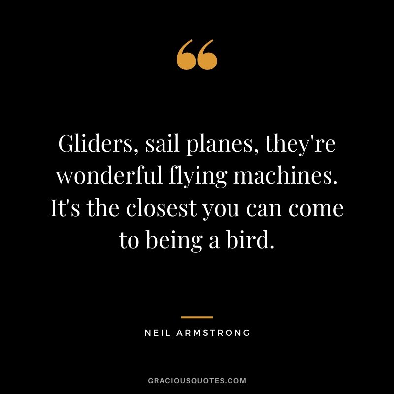 Gliders, sail planes, they're wonderful flying machines. It's the closest you can come to being a bird.