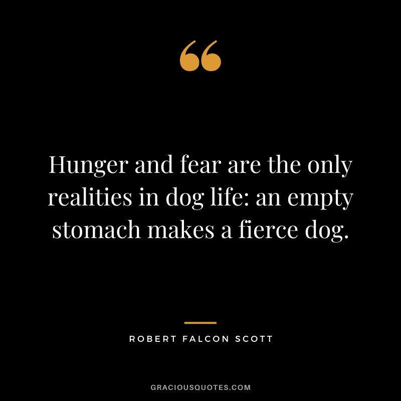 Hunger and fear are the only realities in dog life: an empty stomach makes a fierce dog.