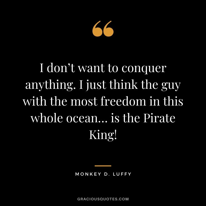 I don’t want to conquer anything. I just think the guy with the most freedom in this whole ocean… is the Pirate King!