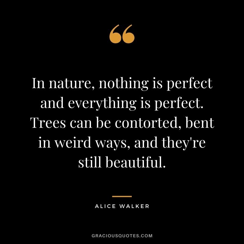 In nature, nothing is perfect and everything is perfect. Trees can be contorted, bent in weird ways, and they're still beautiful. - Alice Walker