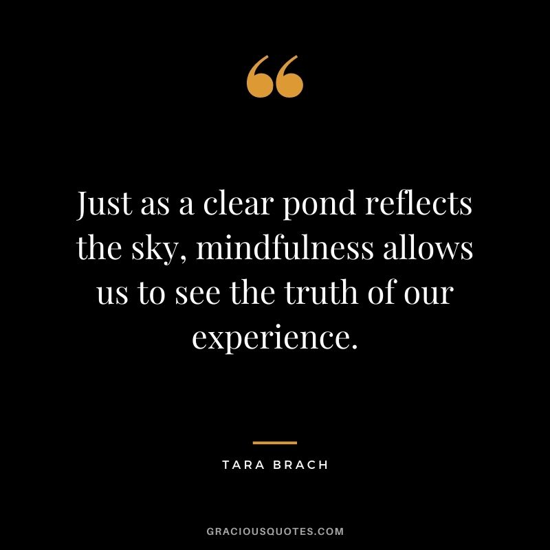Just as a clear pond reflects the sky, mindfulness allows us to see the truth of our experience.