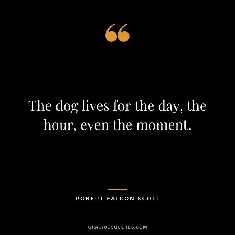 The dog lives for the day, the hour, even the moment.