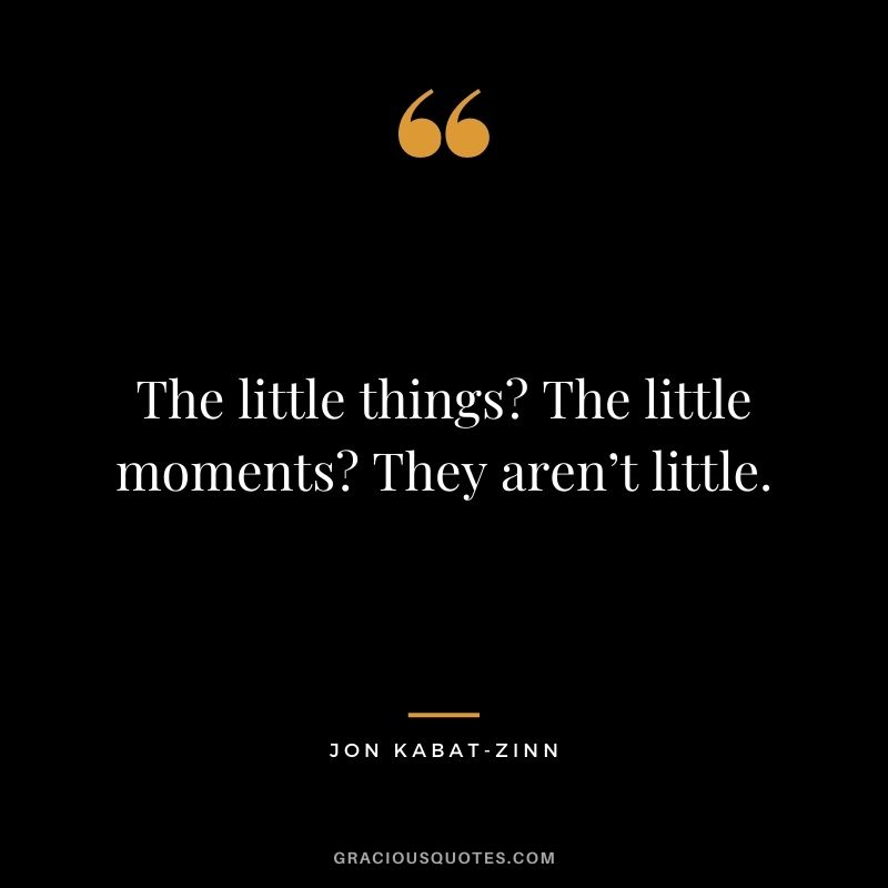 The little things? The little moments? They aren’t little. - Jon Kabat-Zinn