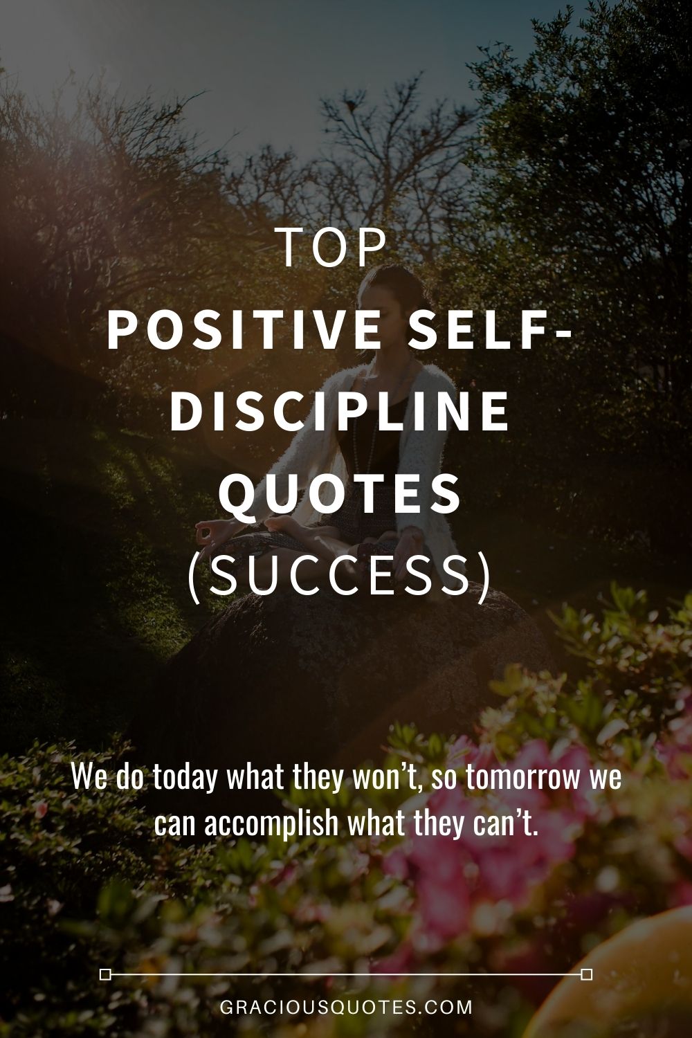 Top Positive Self-discipline Quotes (SUCCESS) - Gracious Quotes