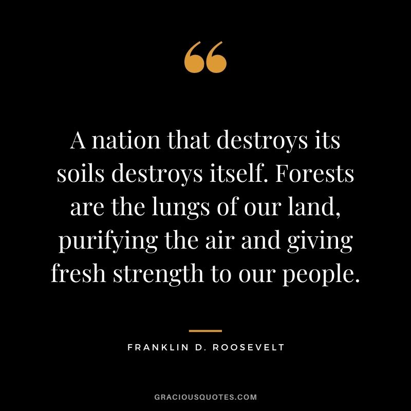 A nation that destroys its soils destroys itself. Forests are the lungs of our land, purifying the air and giving fresh strength to our people.
