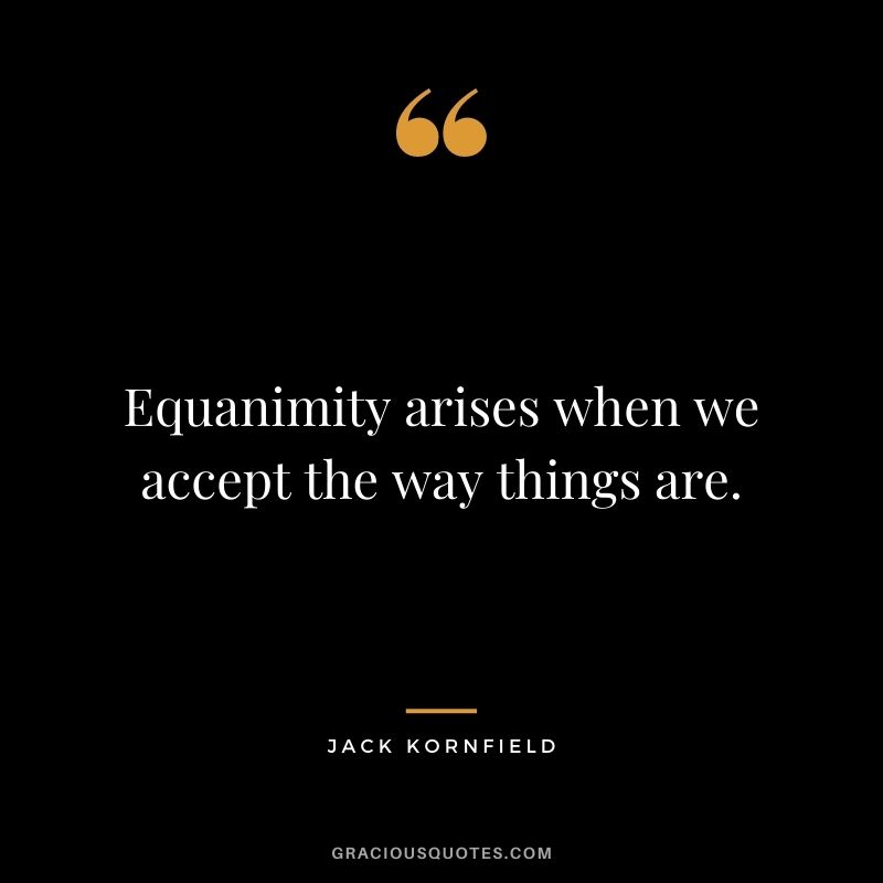 Equanimity arises when we accept the way things are.