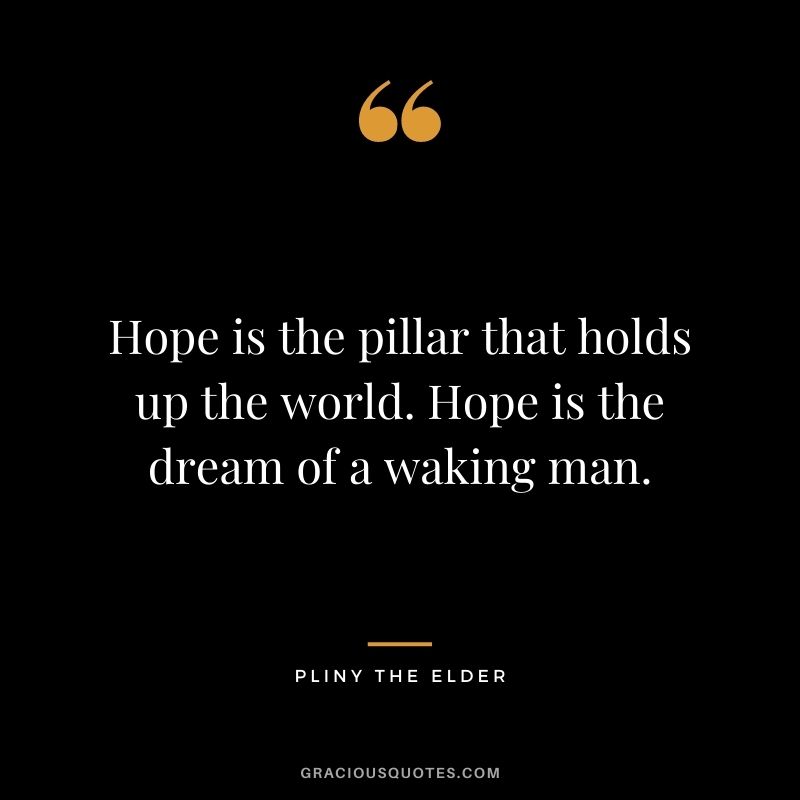 Hope is the pillar that holds up the world. Hope is the dream of a waking man. - Pliny the Elder